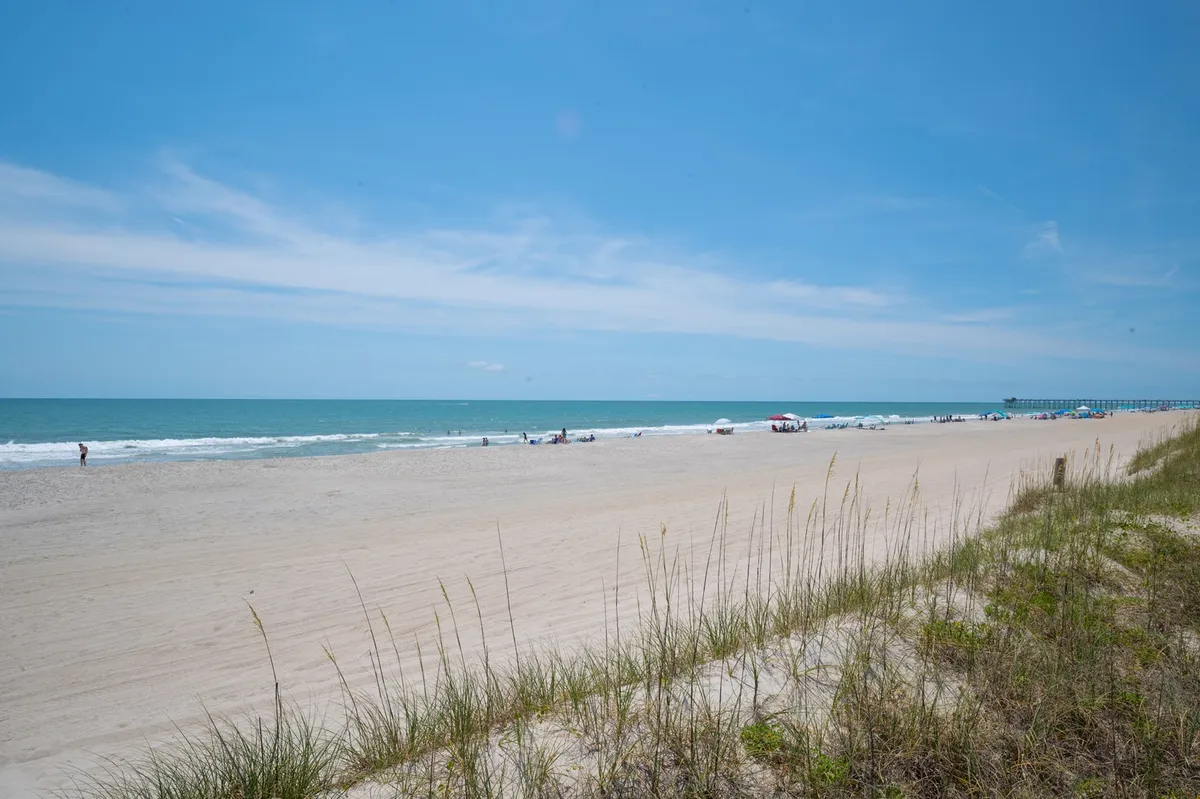 A lively, wide-angle view of the beach with families and children playing in the sand, swimming, and enjoying the sun. Dune grasses and the open sky frame the scene, capturing both the joy and natural beauty of the area.